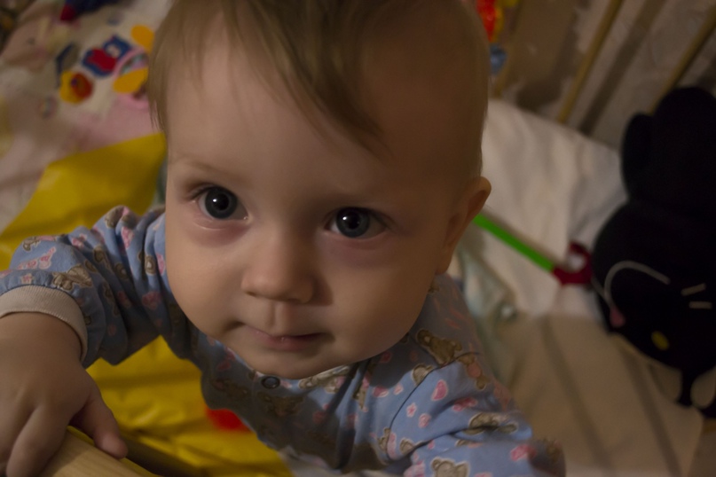 Александр Грецков | Рязань