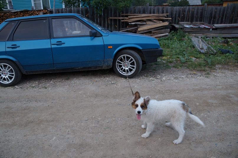 Артем Сухих | Екатеринбург