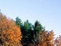 Юлия Щёголева | Борисоглебск