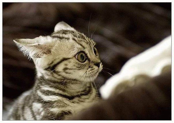 Полина Пашковская | Нижний Новгород