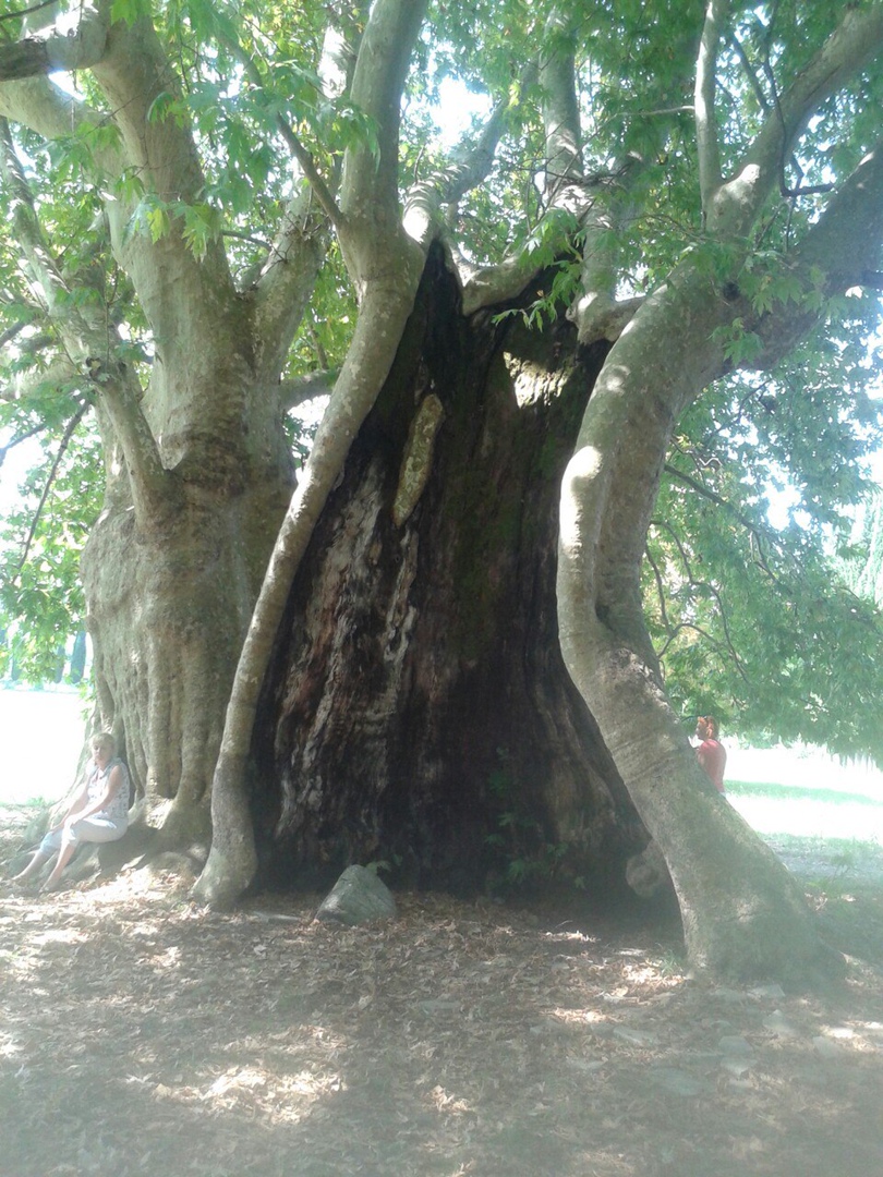 Татьяна Татарникова | Санкт-Петербург
