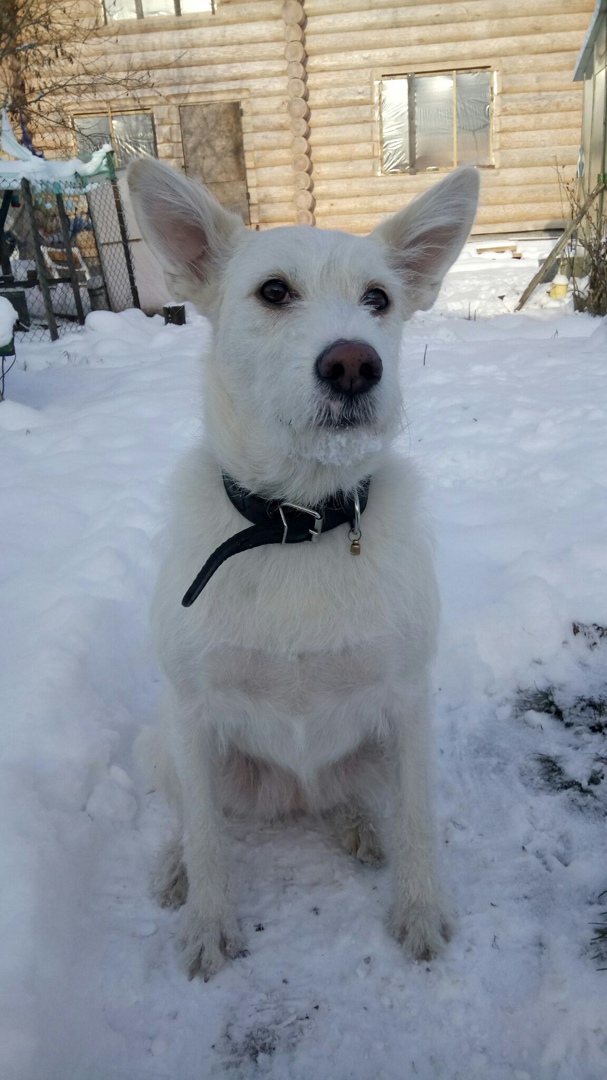 Юлия Тонких | Санкт-Петербург