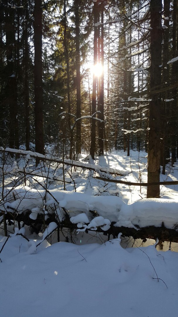 Антон Дьяков | Москва