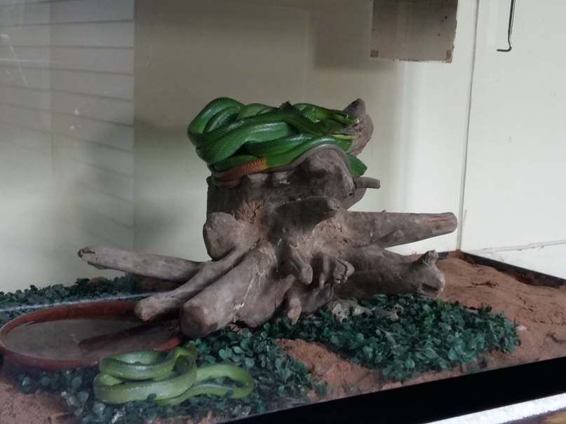 Olesia Koroleva | Костомукша