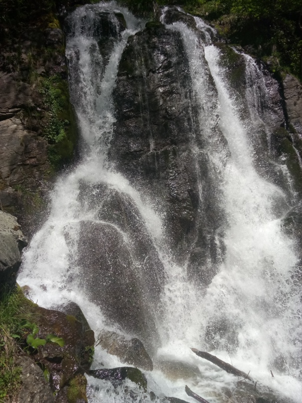 Алексей Хороший | Сочи