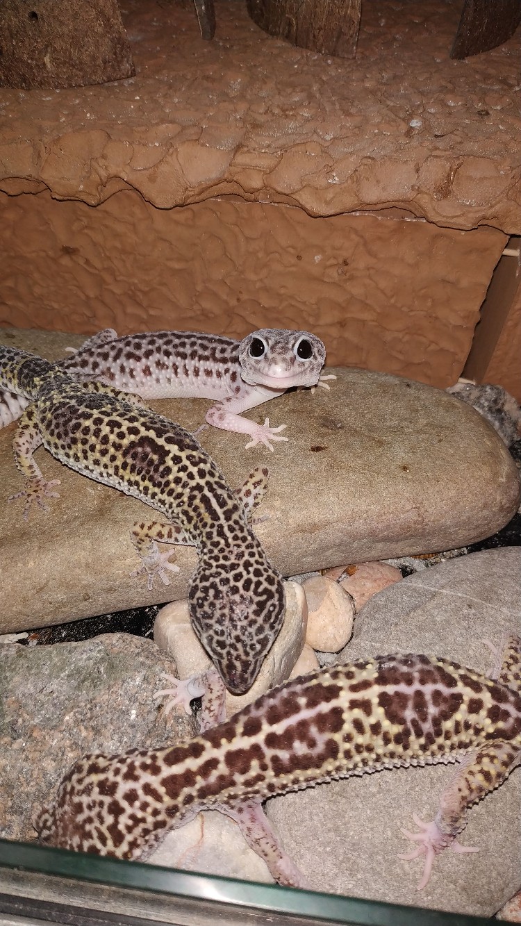 Людмила Кочеткова | Москва