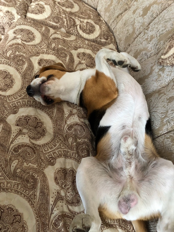 Игорь Оськин | Норильск