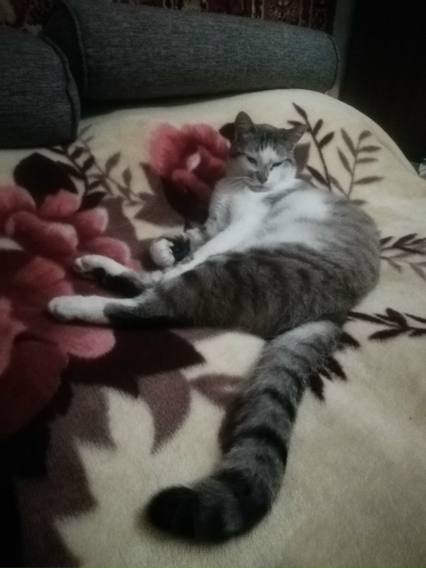 Лариса Гусева | Тула