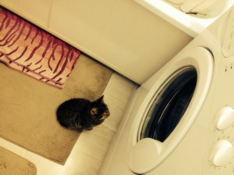 Александр Кончаков | Сызрань