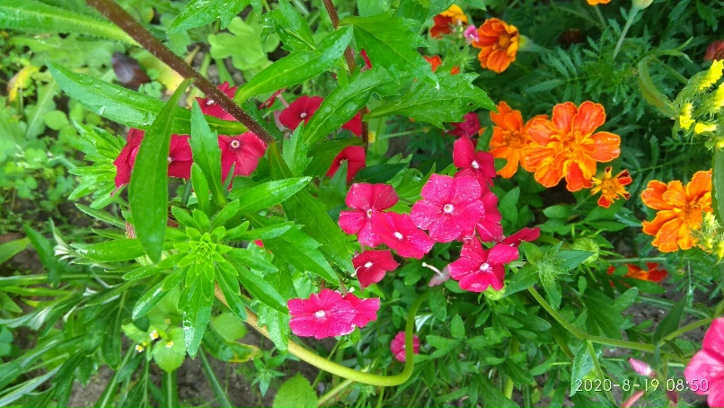 Марина Луценко | Гродно