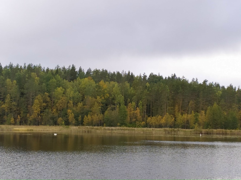 Сергей Майоров serno5 | Санкт-Петербург