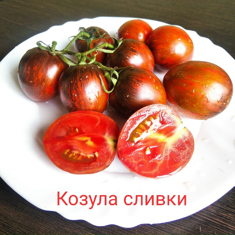 Настя Сперанская | Нижнекамск
