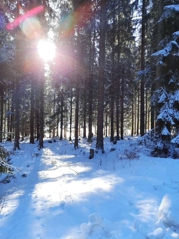 Надежда Шель |