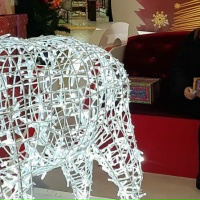 Лариса Кожевникова | Красноярск