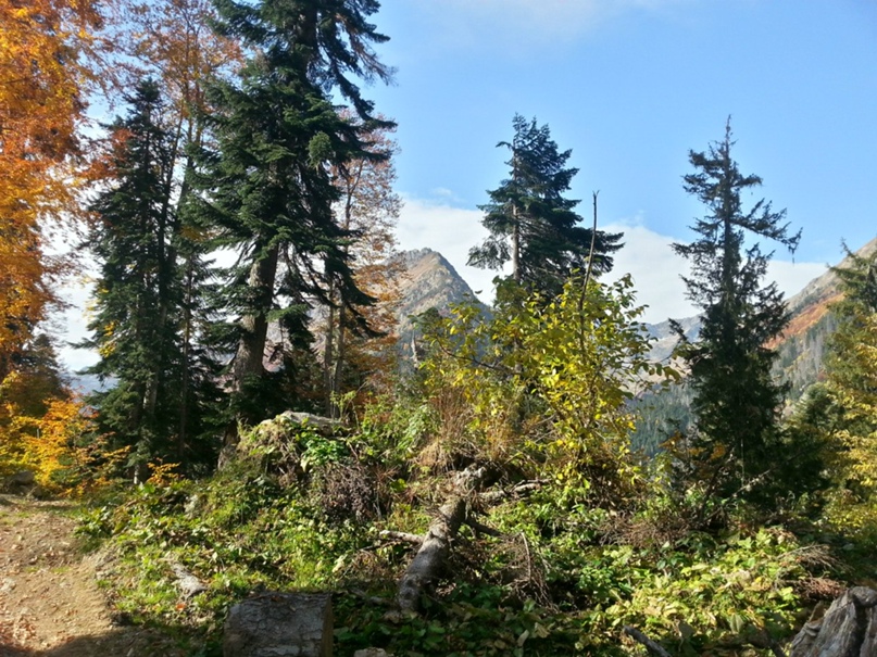 Роман Стариков Николаевич | Ростов-на-Дону