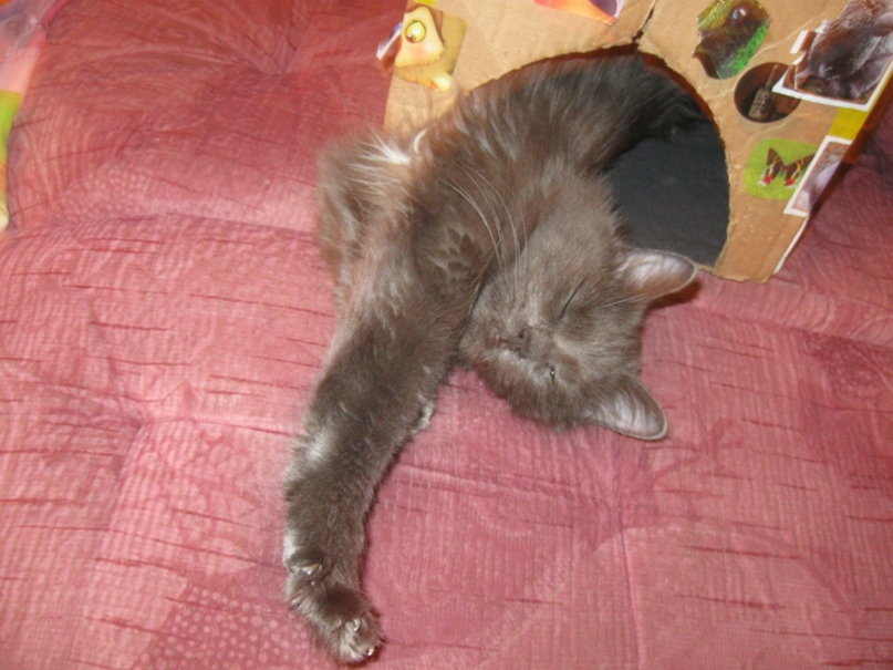 Антонина Никитина | Новосибирск