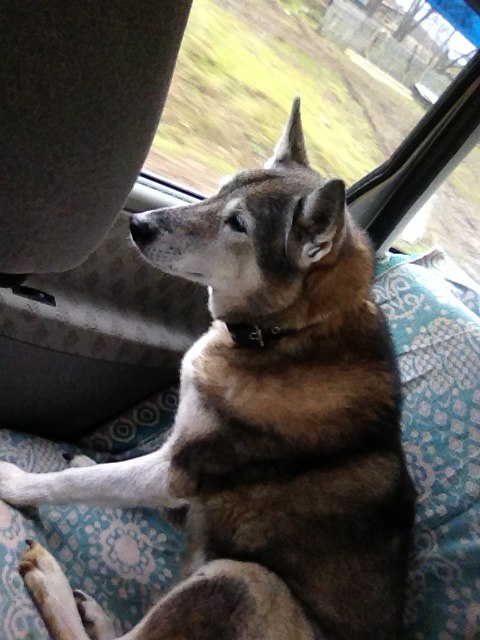 Марина Луценко | Уфа