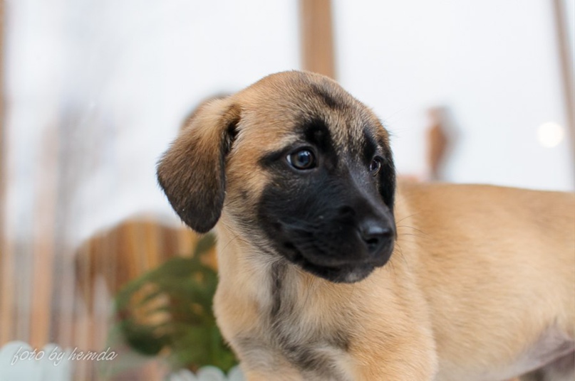 Людмила Грязнова hemda | Новосибирск