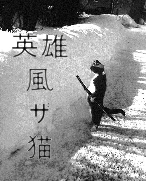 Андрей Шилкин | Фокино