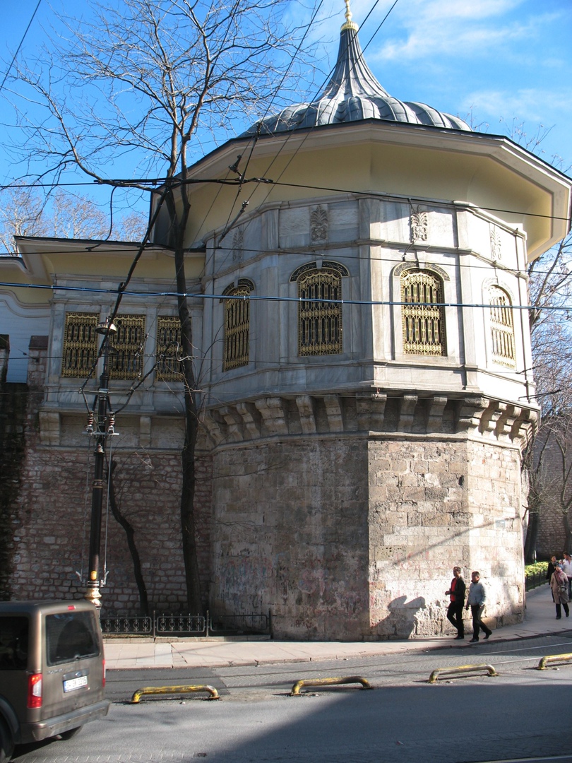 Светлана Шеховцова | Санкт-Петербург