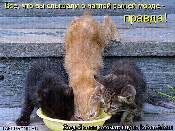 Светлана Седова | Нижний Новгород