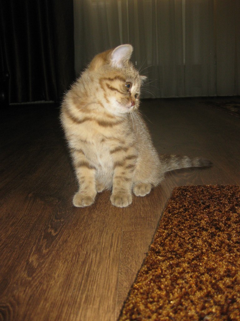 Анна Крамаренко | Одесса