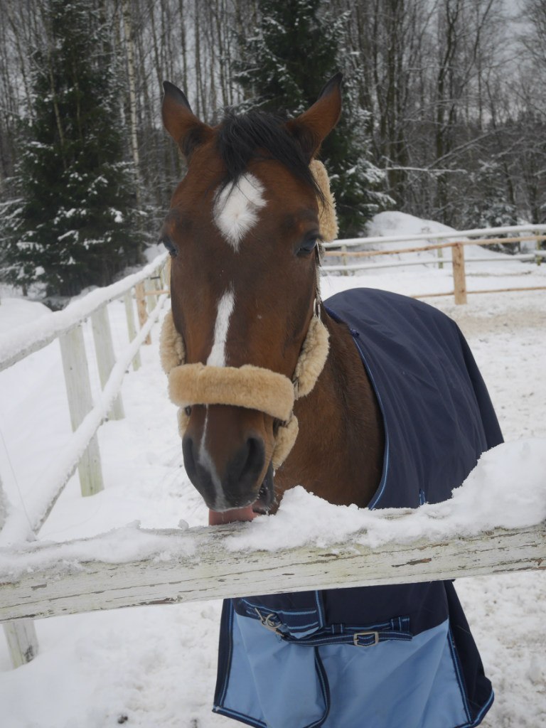 Олег Кабанов | Санкт-Петербург