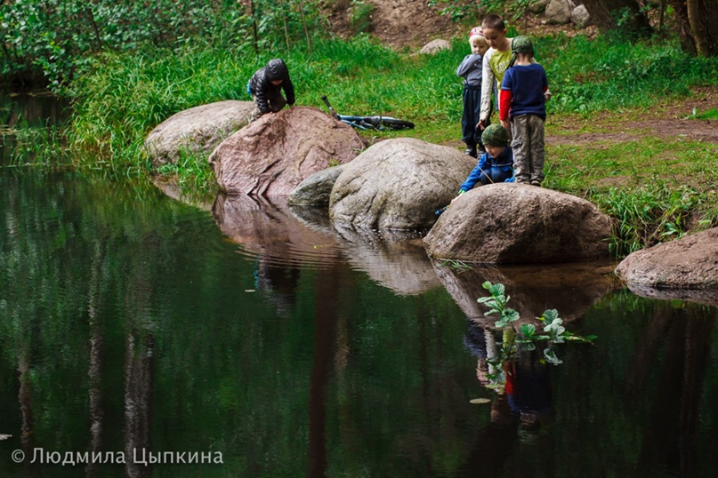 Татьяна Писарева | Санкт-Петербург