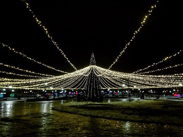 Юлия Мягкова |