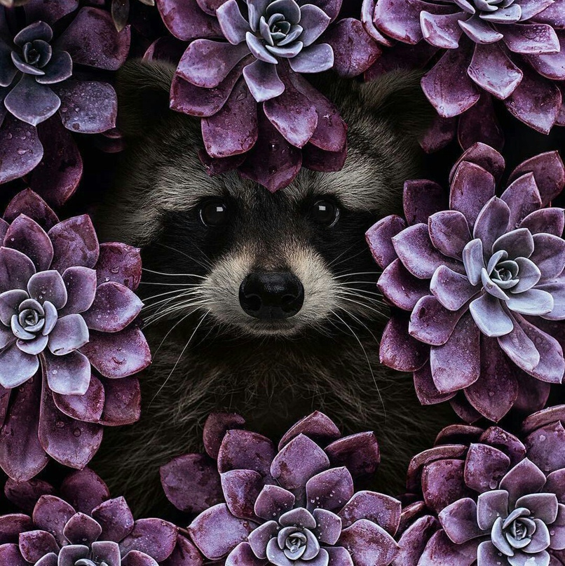 Елена Шикунова | Салават