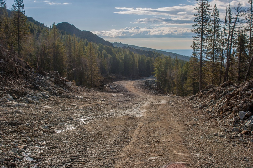 Сергей Горячкин |