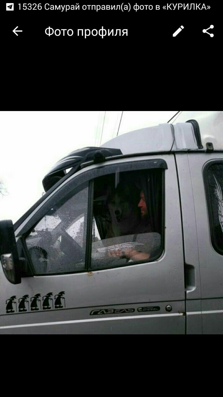 Игорь Сизов Евгеньевич | Москва