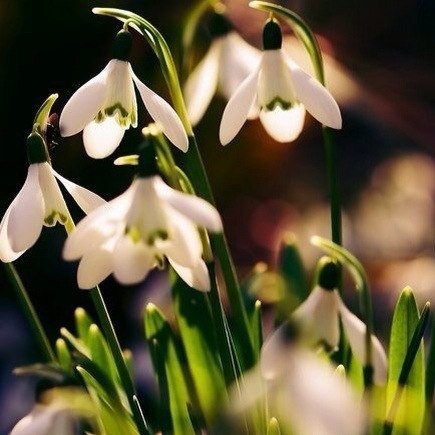 Александра Гусарова | Обнинск