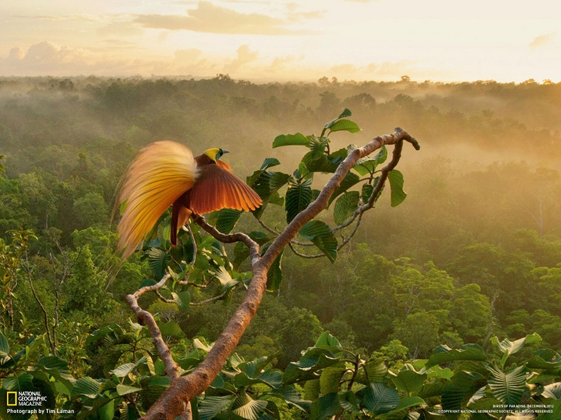 Никита Бабушкин | Йошкар-Ола