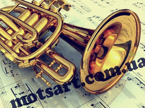 Артем Сальников Олегович |