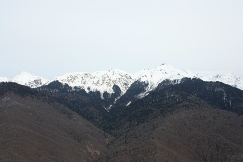 Сергей Бруев | Воронеж
