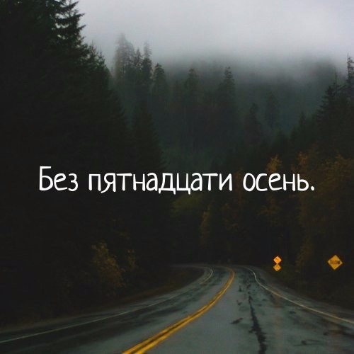 Леся Никулина Vix | Екатеринбург