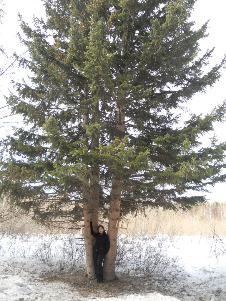 Олеся Григорьева | Новосибирск