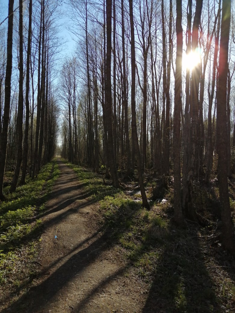 Надежда Малыгина | Санкт-Петербург