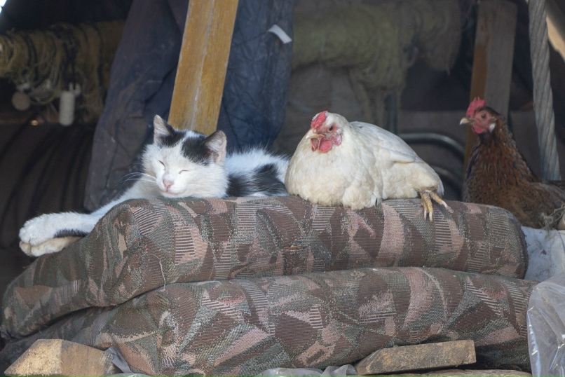 Ришат Шакиров | Уфа