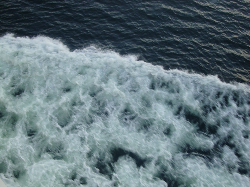 Елена Шешина | Санкт-Петербург