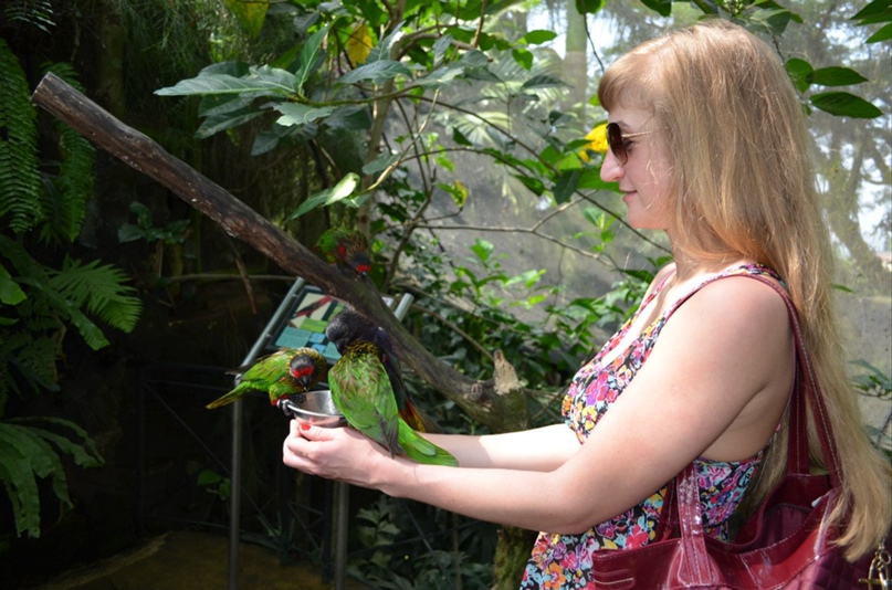 Елена Бородич | Томск