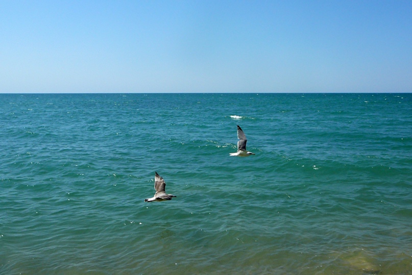 Сергей Куканов | Москва