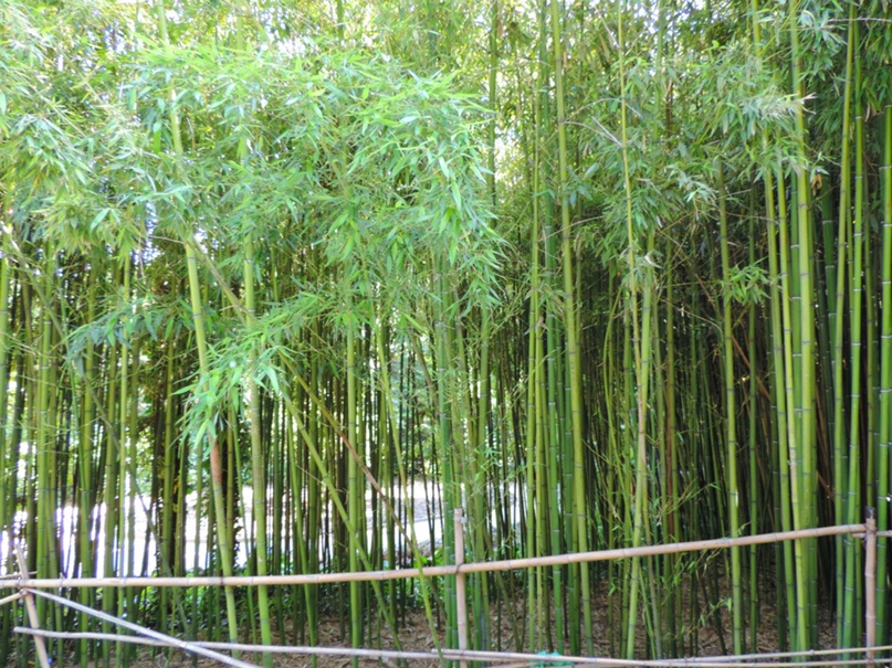 Антон Овсянников | Николаев