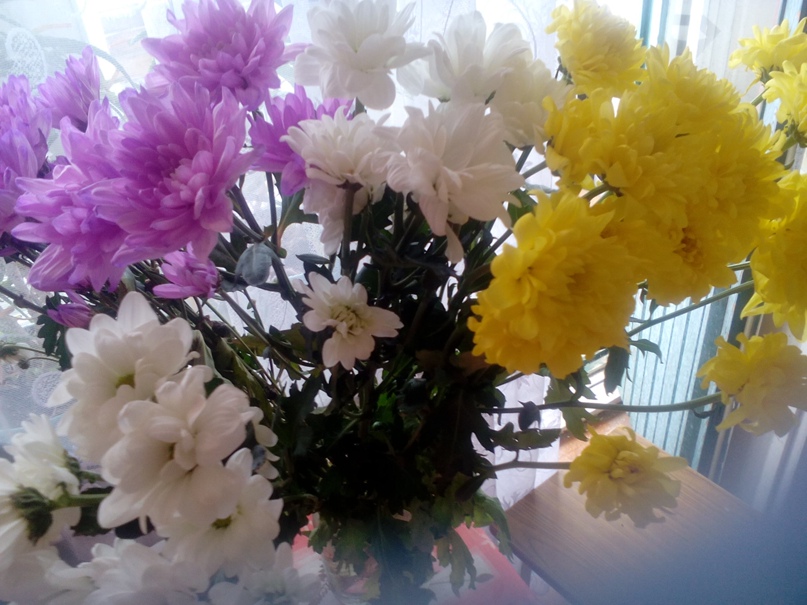 Екатерина Сухорукова | Сыктывкар