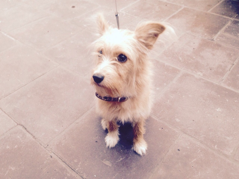 Андрей Шестаков | Москва