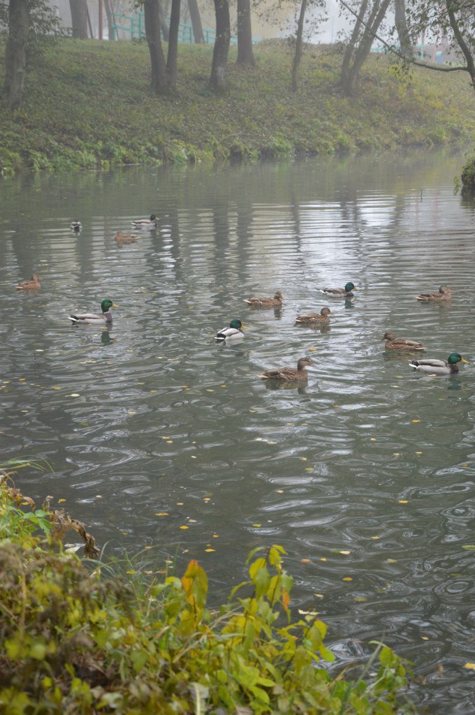 Татьяна Слепцова | Великий Новгород