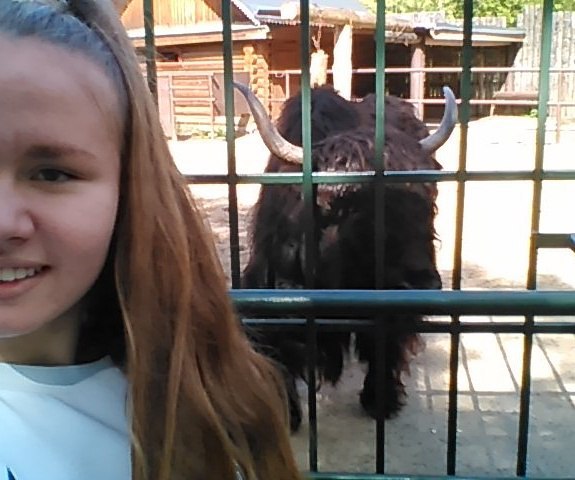 Елена Шилина | Ворсма