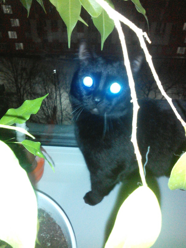 Татьяна Алленова | Рязань