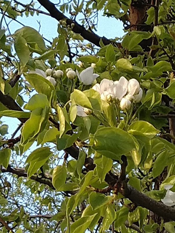 Катя Гордеева | Москва